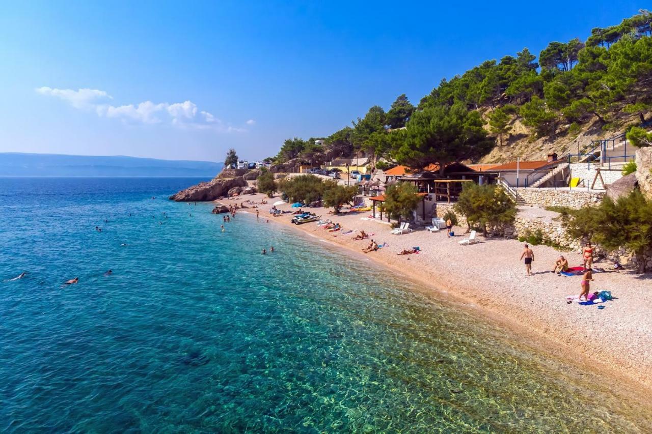 Villa Maslina, With Private 32M2Pool, Panoramic Views On 100Km Coastline, 12 Pax Локва-Рогозниця Екстер'єр фото